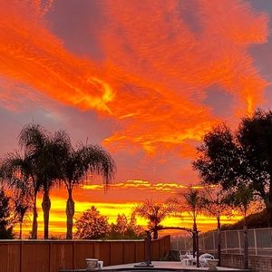 Meet your Posher, Shelby